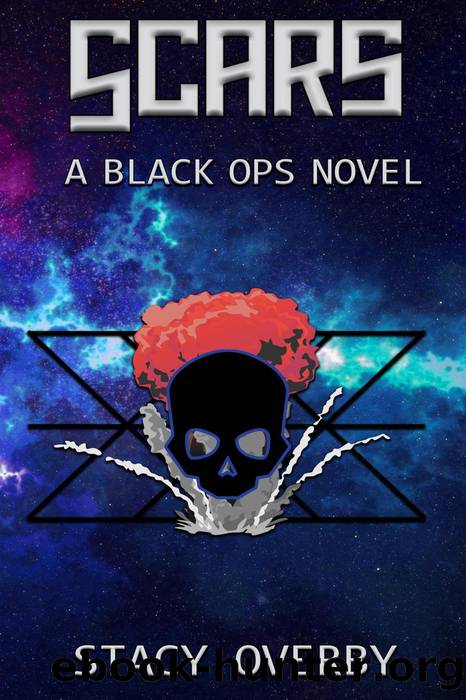 Scars by Stacy Overby