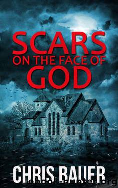 Scars on the Face of God by Chris Bauer