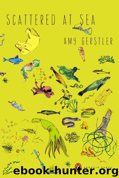 Scattered at Sea by Amy Gerstler