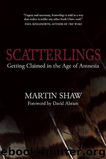 Scatterlings by Martin Shaw