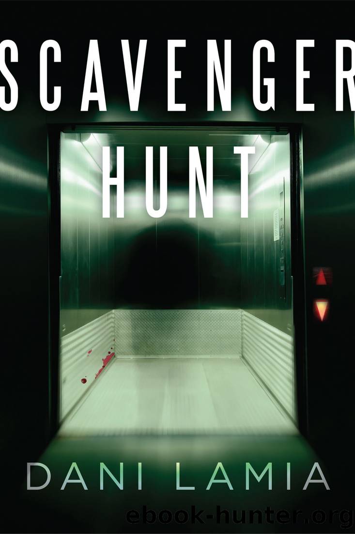 Scavenger Hunt by Dani Lamia