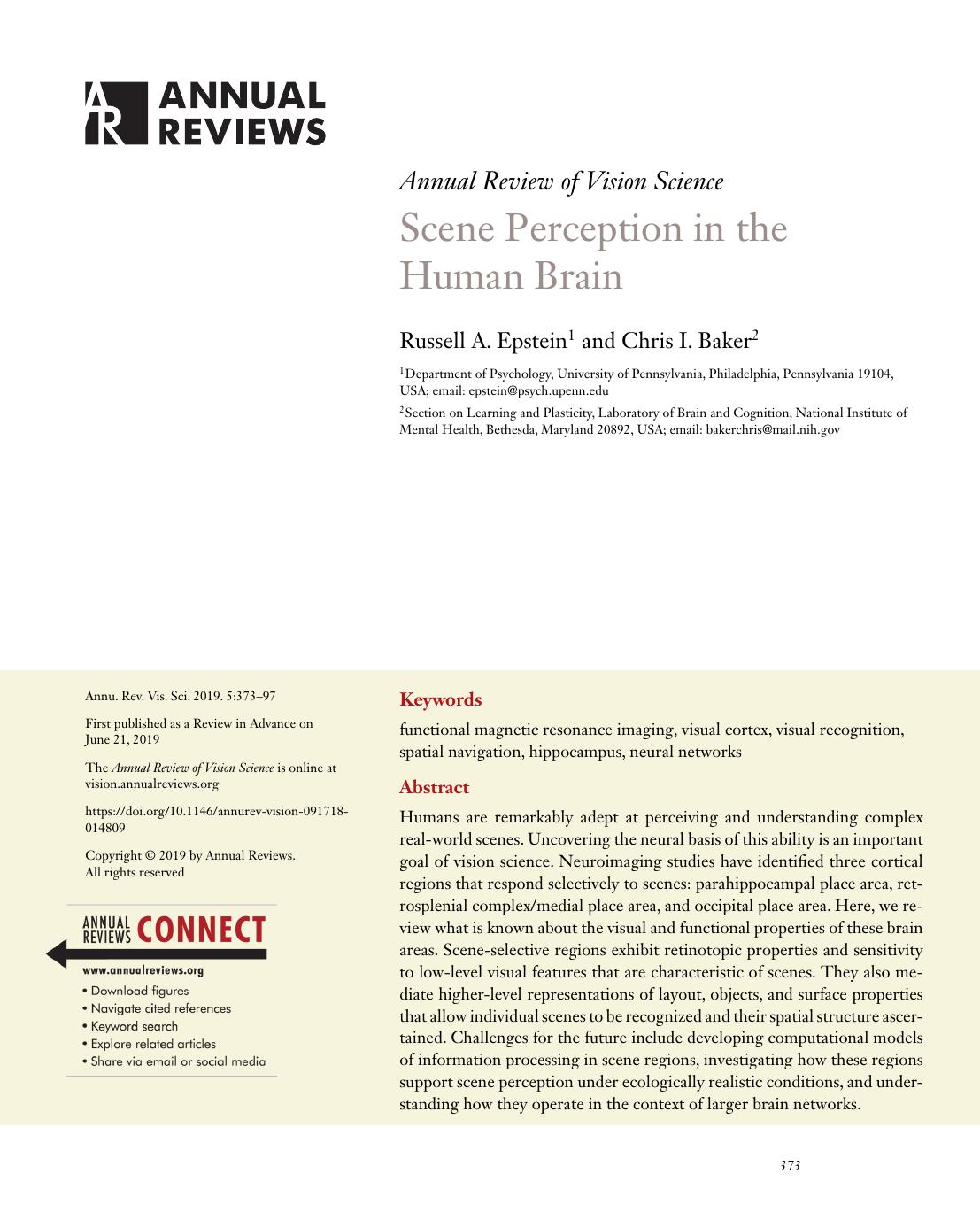 Scene Perception in the Human Brain by Russell A. Epstein and Chris I. Baker