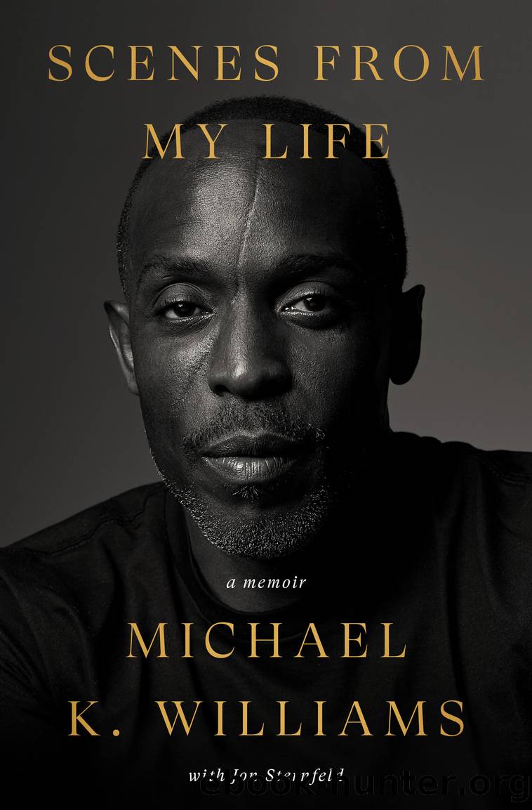 Scenes from My Life by Michael K. Williams & Jon Sternfeld