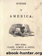 Scenes in America by Unknown