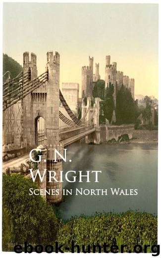 Scenes in North Wales by G. N. Wright