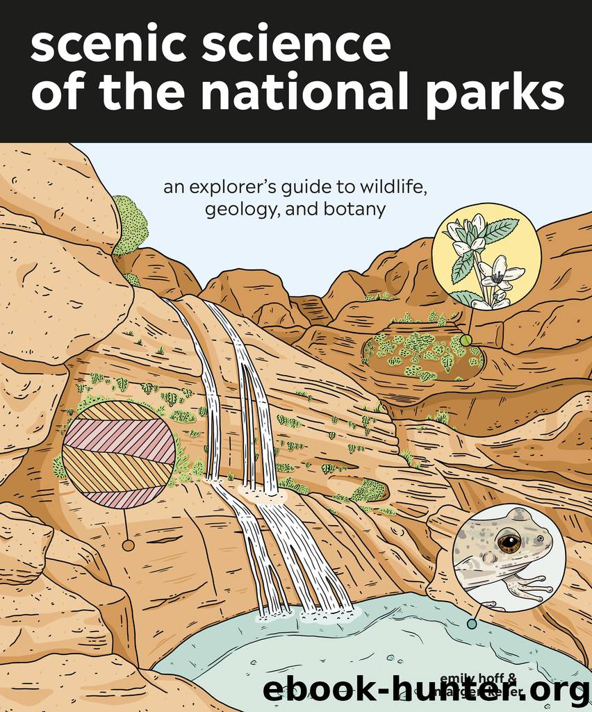 Scenic Science of the National Parks by Emily Hoff & Maygen Keller