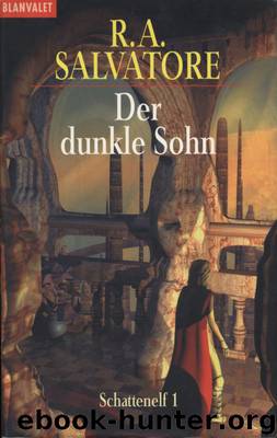 Schattenelf - 1 - Der dunkle Sohn by R.A. Salvatore