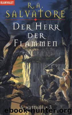 Schattenelf - 3 - Der Herr der Flammen by R.A. Salvatore