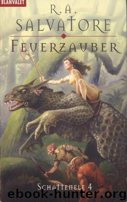 Schattenelf - 4 - Feuerzauber by R.A. Salvatore