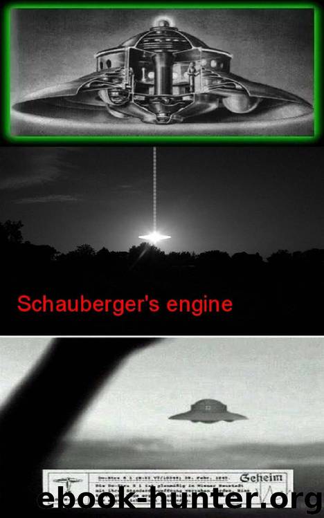 Schauberger's engine by Maxim Kolychev