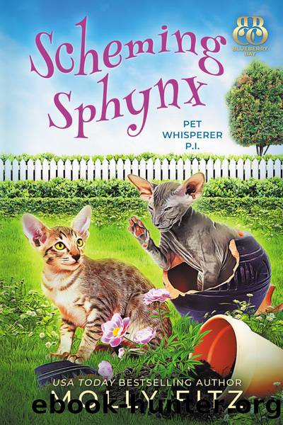 Scheming Sphynx by Molly Fitz
