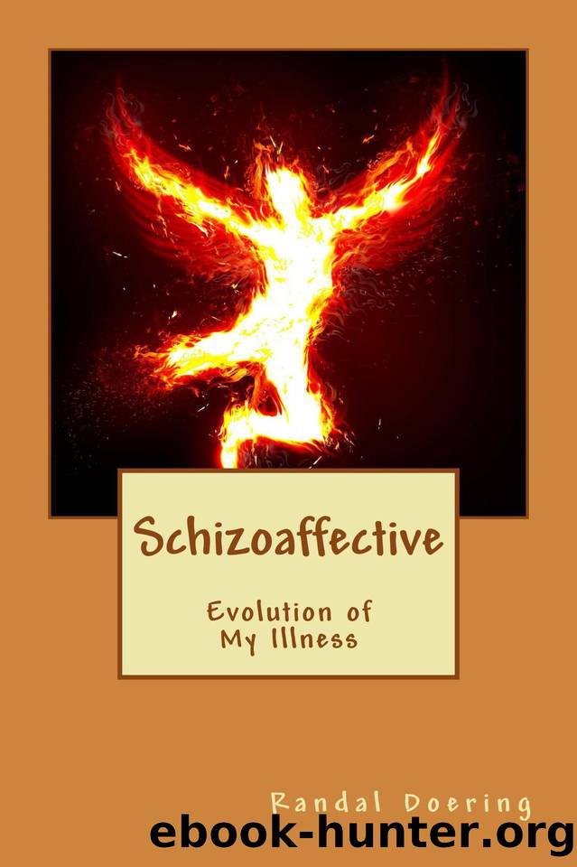 Schizoaffective: Evolution of My Illness by Doering Randal