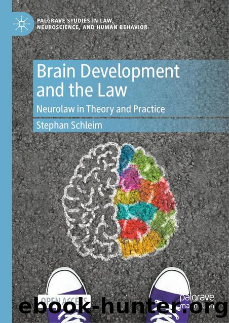 Schleim S. Brain Development and the Law. Neurolaw in Theory and Practice 2025 by Unknown