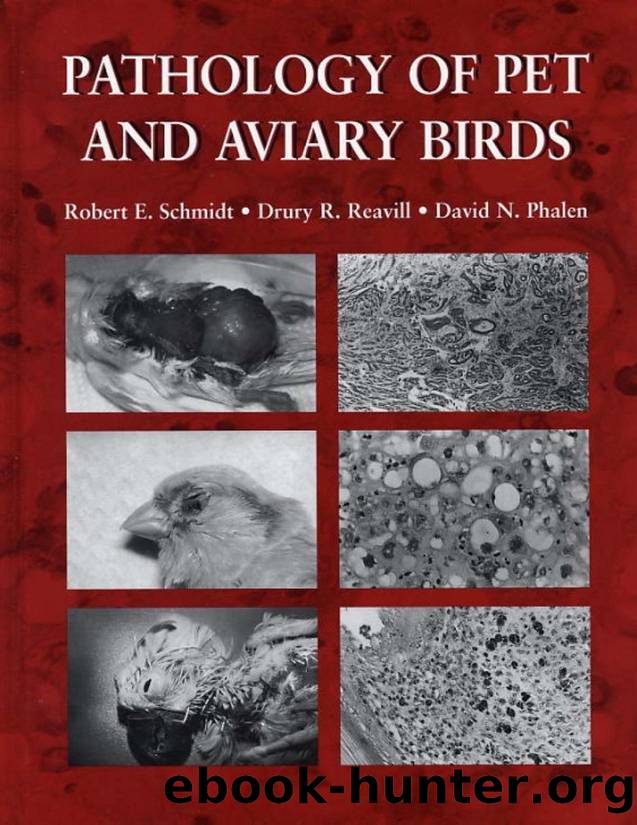 Schmidt by Pathology of Pet & Aviary Birds