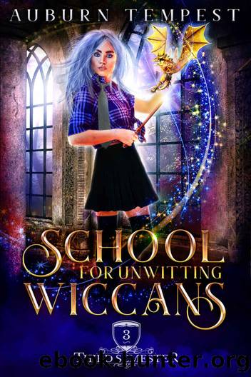 School For Unwitting Wiccans (Misty's Magick and Mayhem Book 3) by Carolina Mac & Auburn Tempest