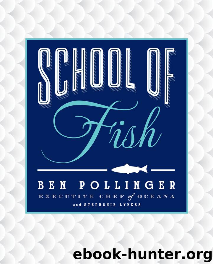 School of Fish by Ben Pollinger