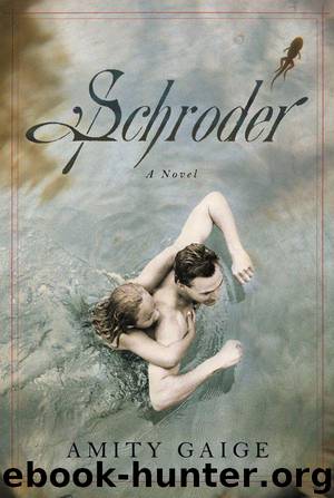 Schroder: A Novel by Gaige Amity
