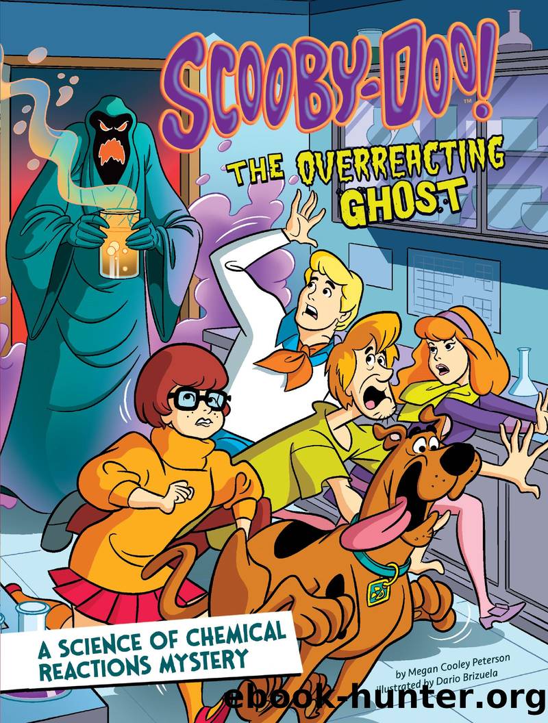 Scooby-Doo! A Science of Chemical Reactions Mystery: The Overreacting Ghost by Megan Cooley Peterson