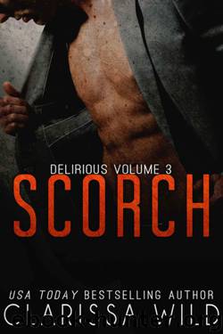 Scorch by Clarissa Wild