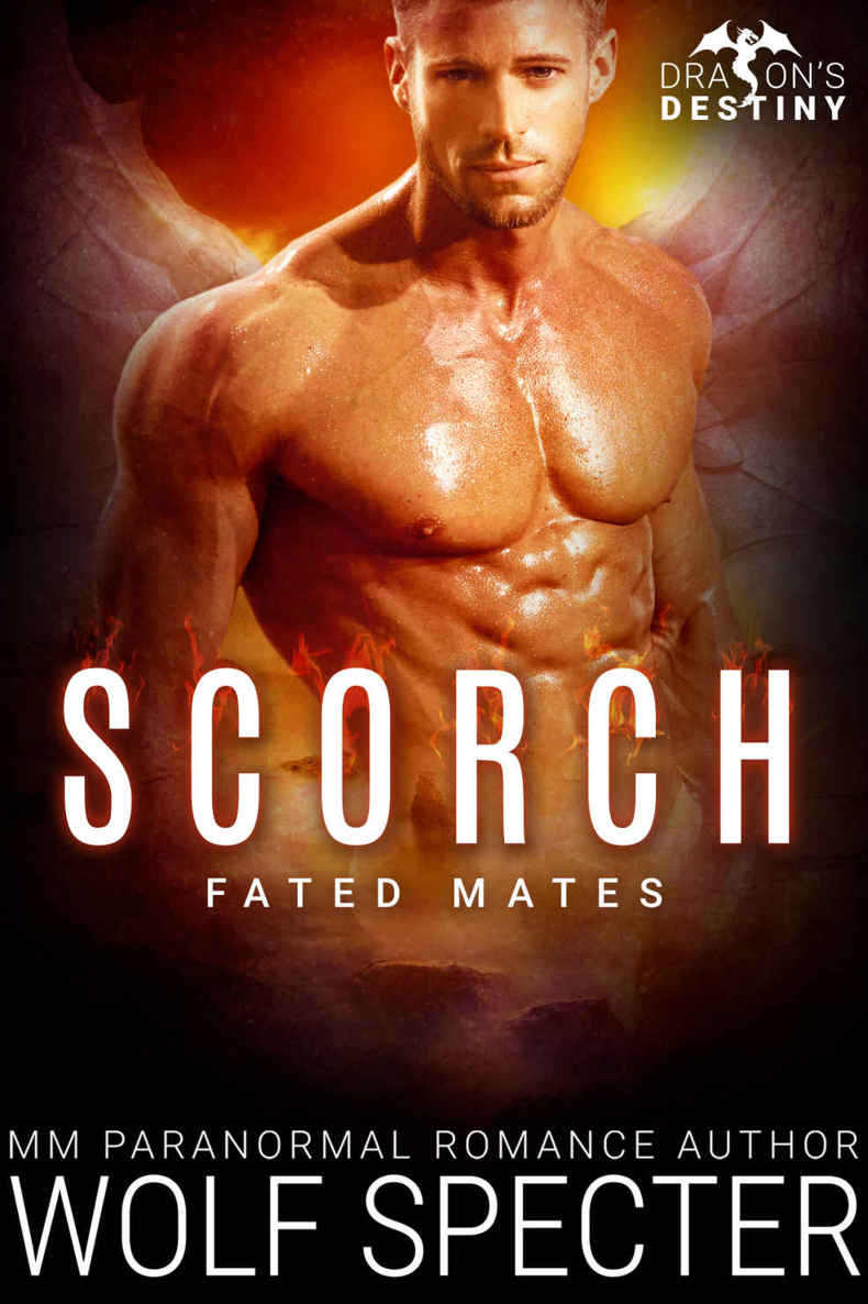 Scorch: M/M Gay Shifter Mpreg Romance (Dragon's Destiny: Fated Mates Book 2)