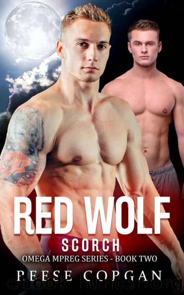 Scorch: Red Wolf - Book 2 (Red Wolf Omega MPreg Series) by Corgan Reese