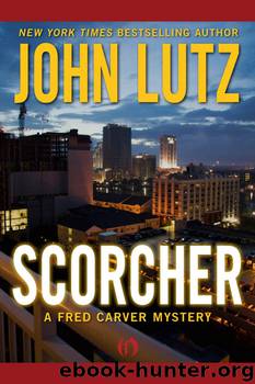 Scorcher by John Lutz