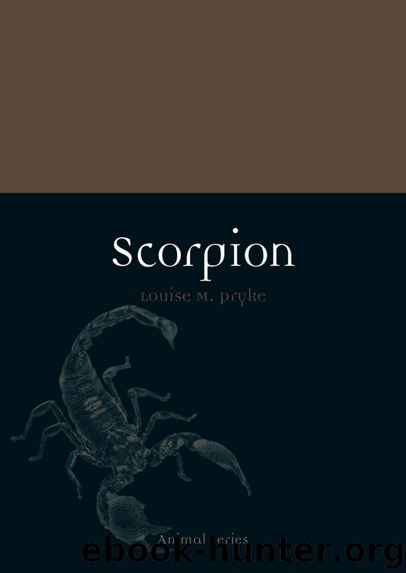 Scorpion by Louise M. Pryke