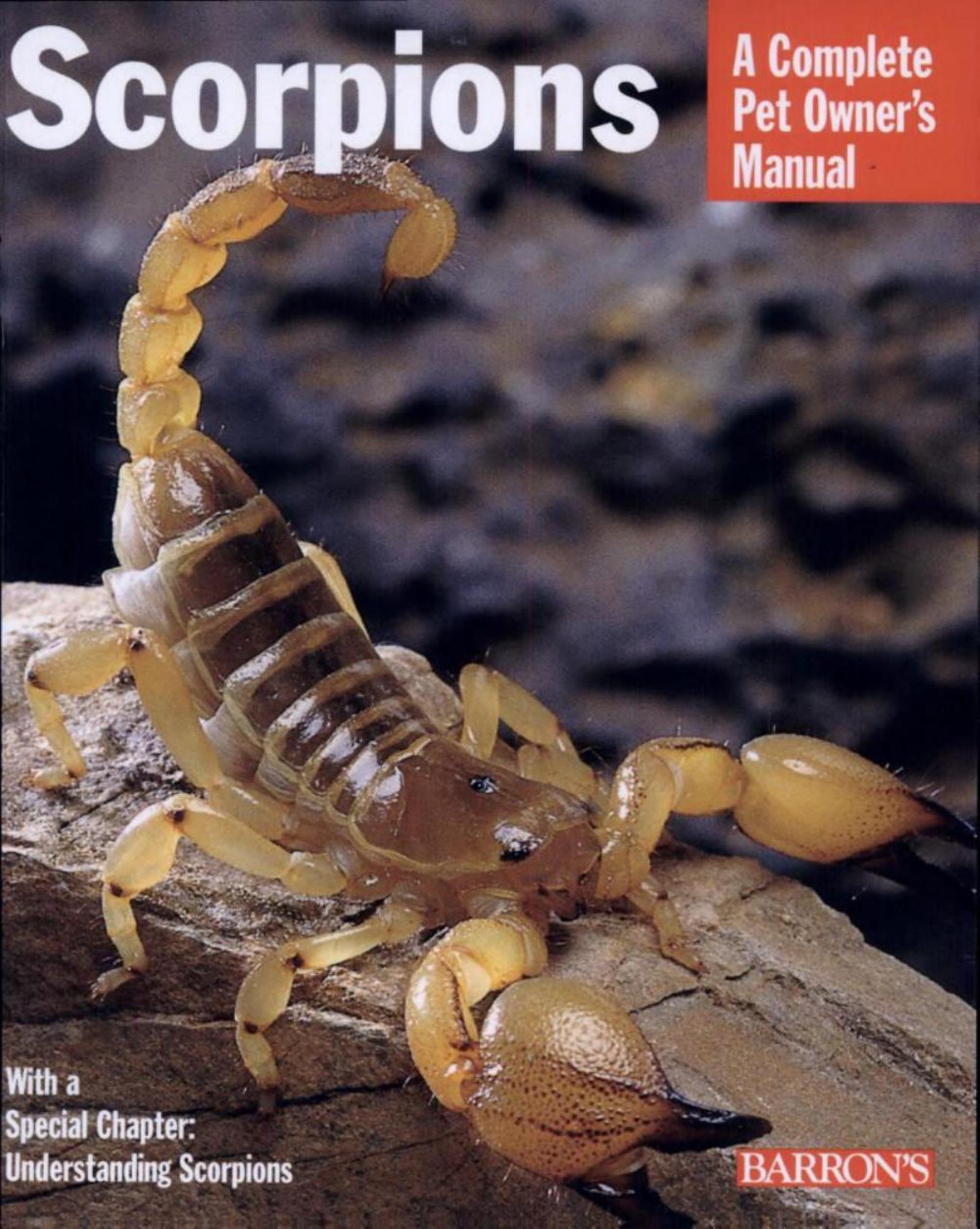 Scorpions by By Manny Rubio