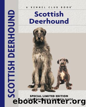 Scottish Deerhound by Juliette Cunliffe