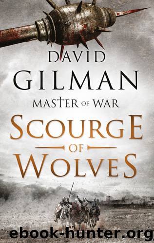 Scourge of Wolves_Master of War by David Gilman