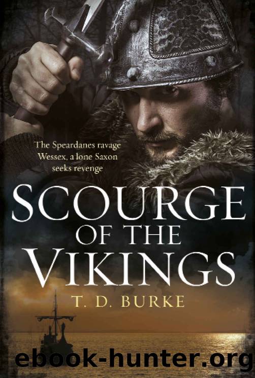 Scourge of the Vikings by Burke T D