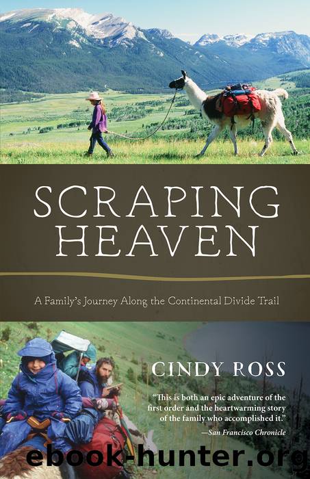 Scraping Heaven by Cindy Ross