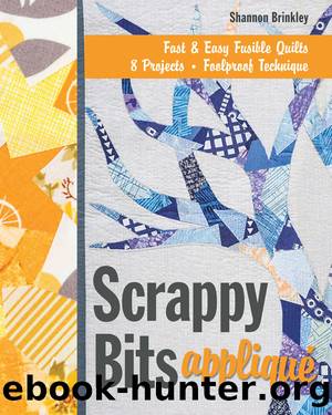 Scrappy Bits AppliquÃ© by Shannon Brinkley