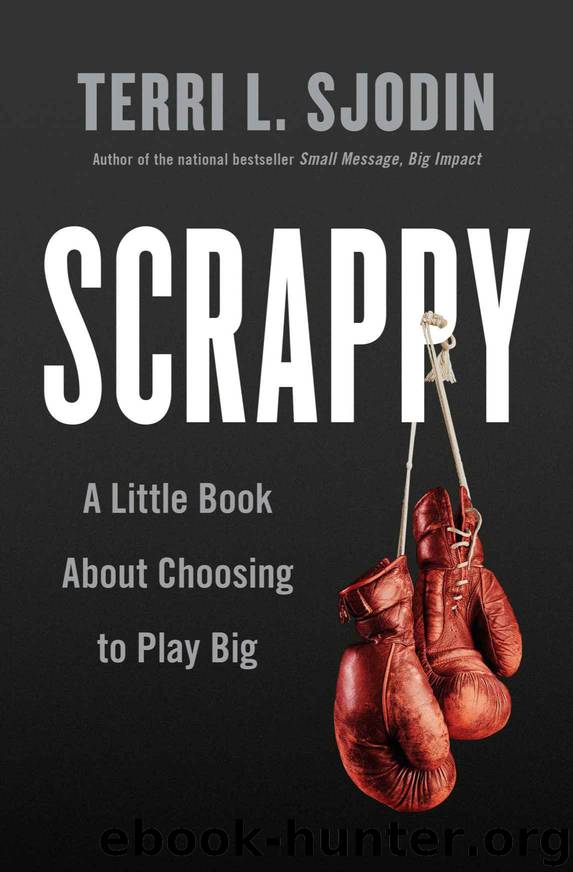Scrappy: A Little Book About Choosing to Play Big by Terri L. Sjodin