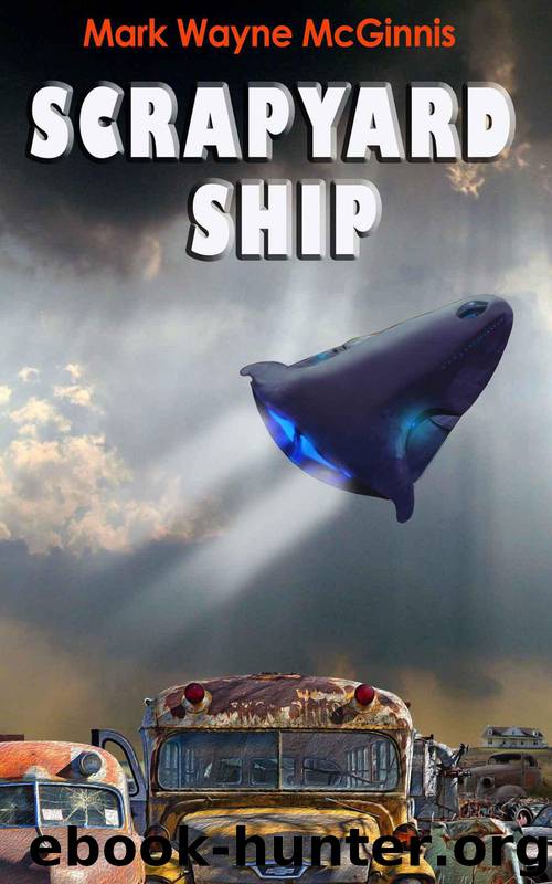 Scrapyard Ship by Mark Wayne McGinnis
