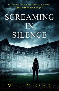 Screaming in Silence: Fairwater Academy by W I Night