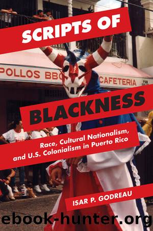 Scripts of Blackness by Isar P Godreau