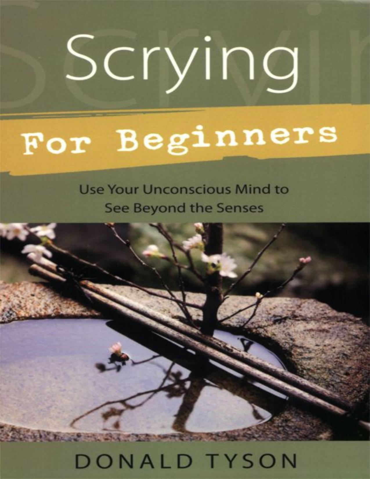 Scrying for beginners by Donald Tyson
