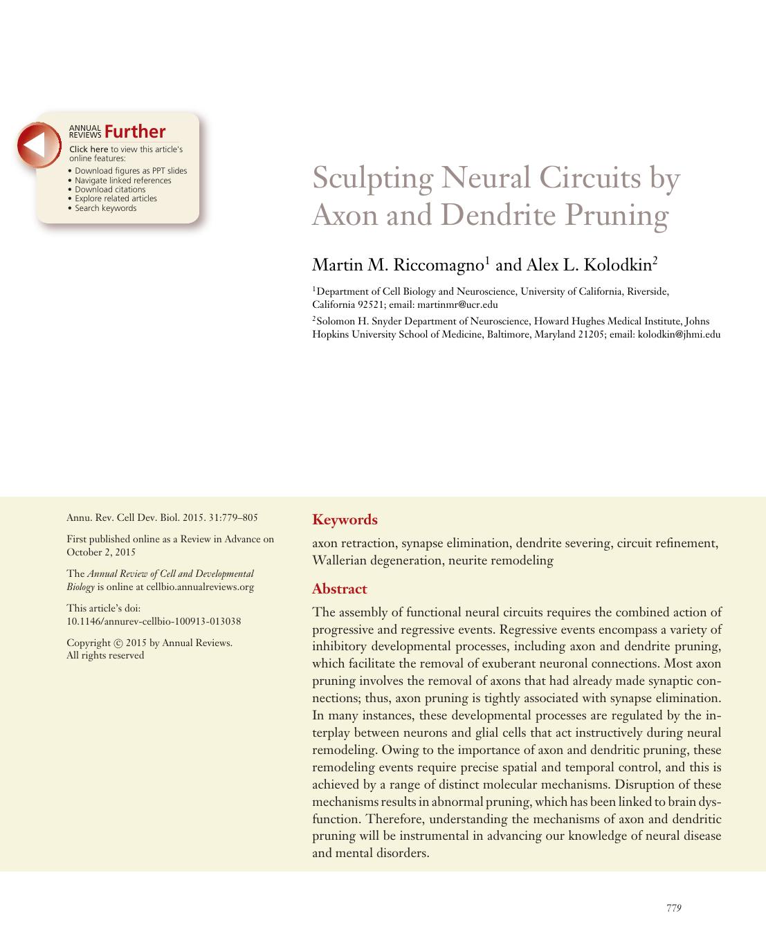 Sculpting Neural Circuits by Axon and Dendrite Pruning by Martin M. Riccomagno and Alex L. Kolodkin