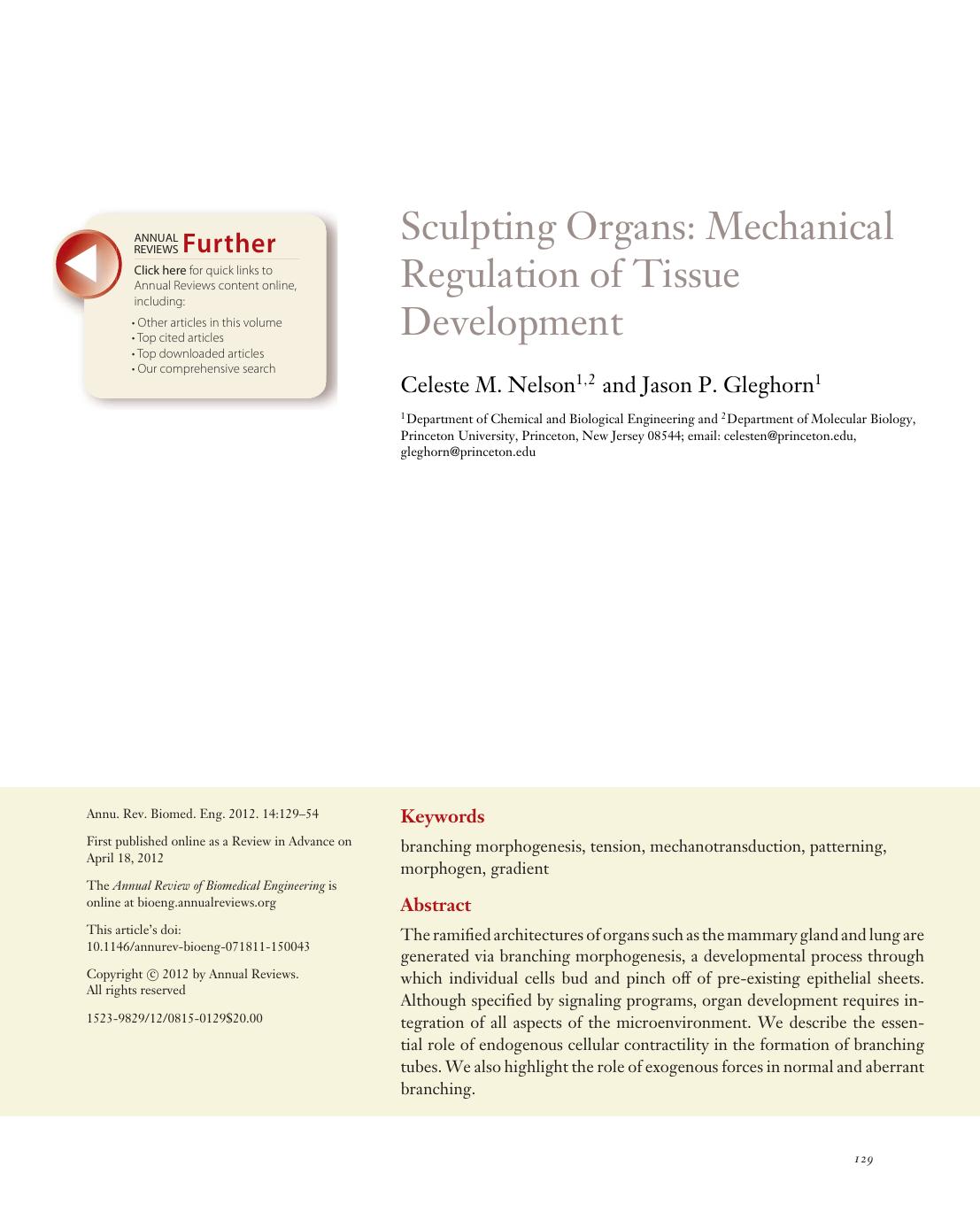 Sculpting Organs: Mechanical Regulation of Tissue Development by Celeste M. Nelson and Jason P. Gleghorn
