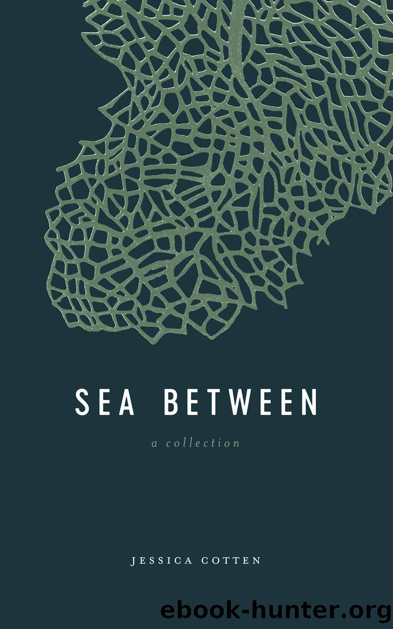 Sea Between by Jessica Cotten