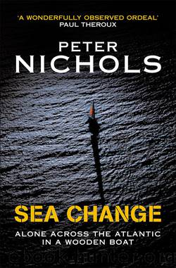 Sea Change by Peter Nichols