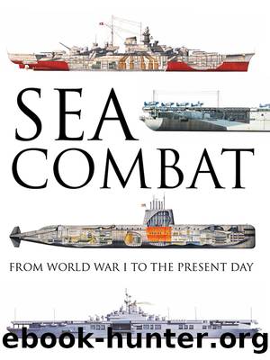 Sea Combat: From World War I To The Present Day by Robert Jackson