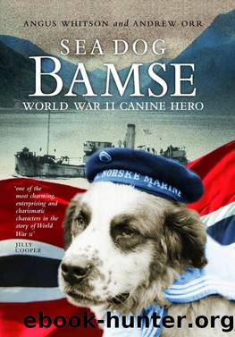 Sea Dog Bamse by Angus Whitson
