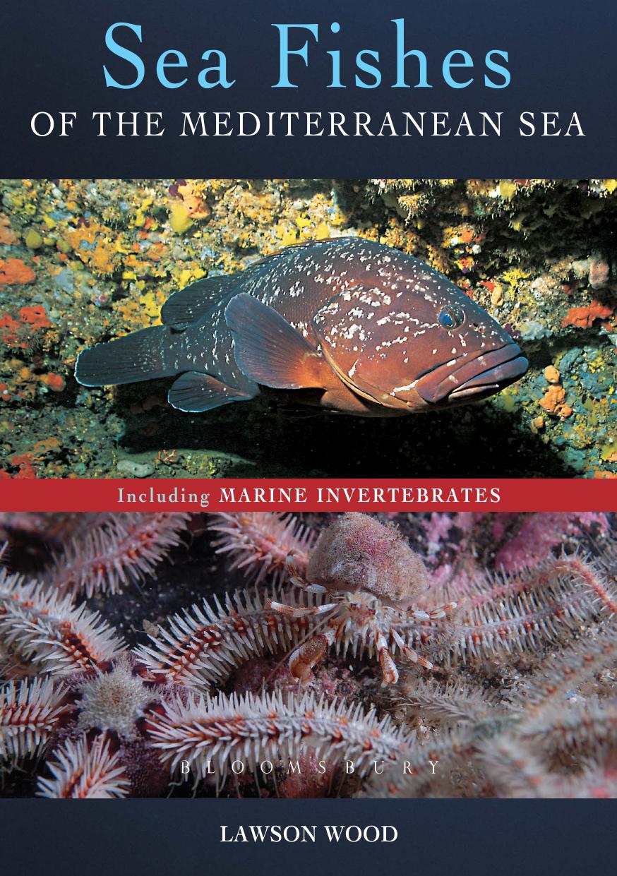 Sea Fishes of the Mediterranean Sea by Lawson Wood
