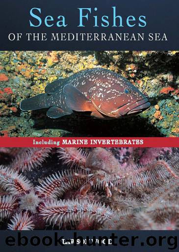 Sea Fishes of the Mediterranean by Lawson Wood
