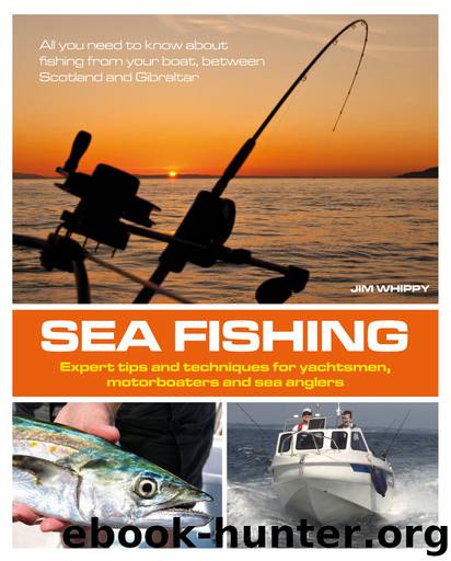 Sea Fishing by Jim Whippy