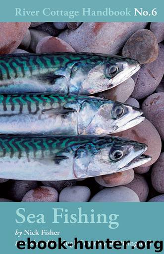 Sea Fishing by Nick Fisher