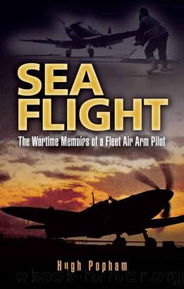 Sea Flight by Hugh Popham
