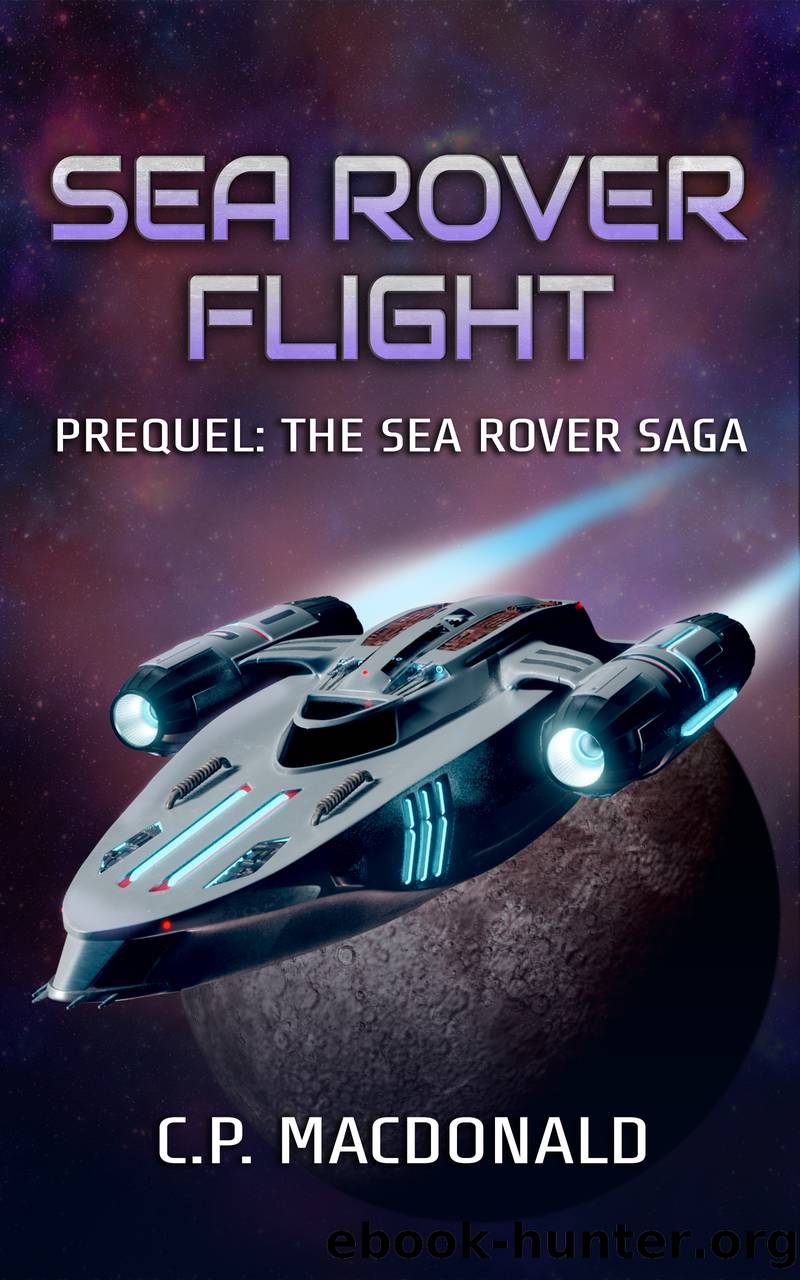 Sea Rover Flight by C.P. MacDonald